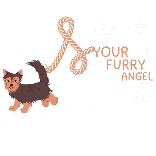 Your Furry Angel